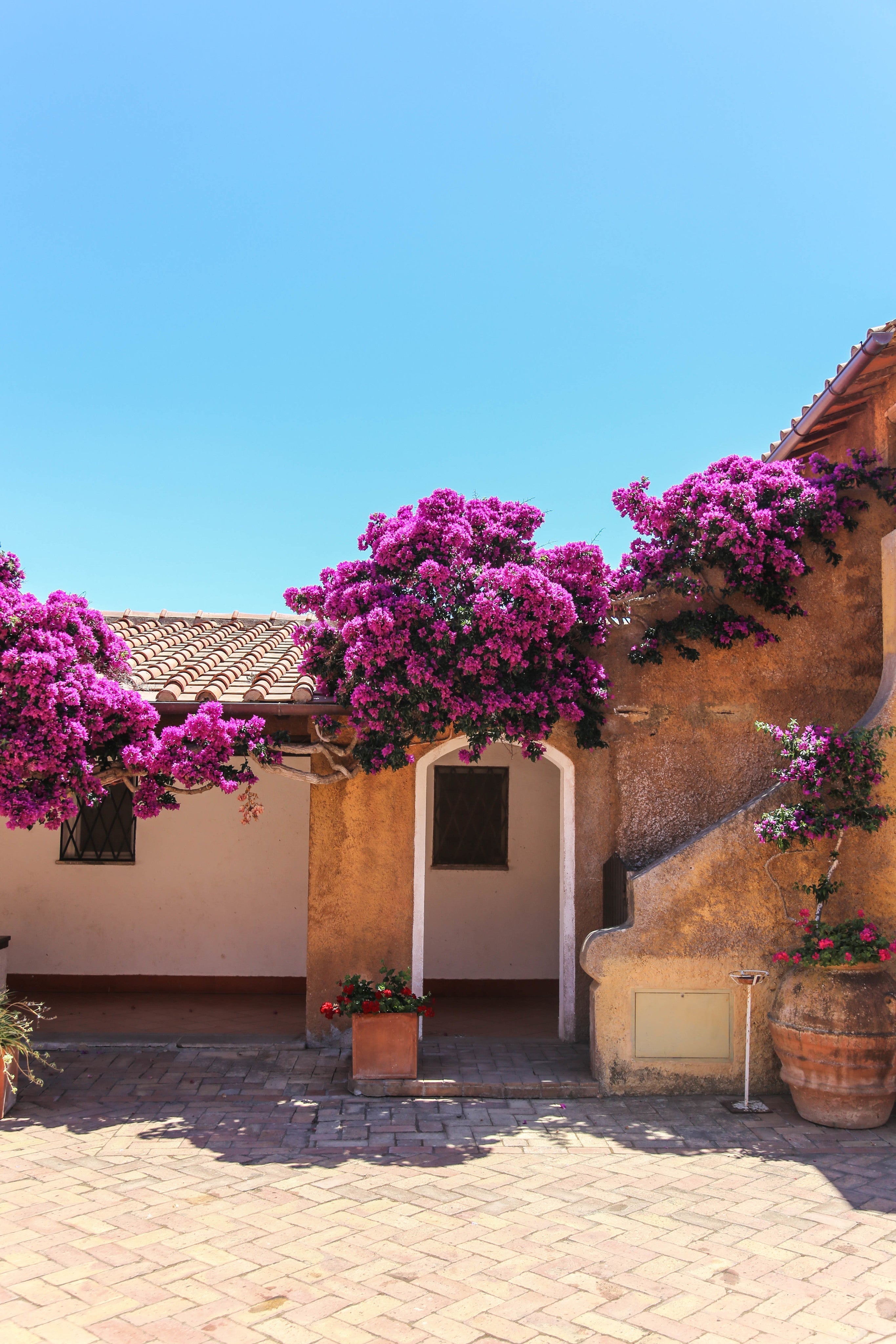 Patio Inspiration