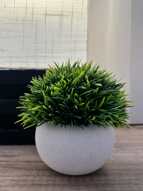 *Topiary Plants - Set of 4