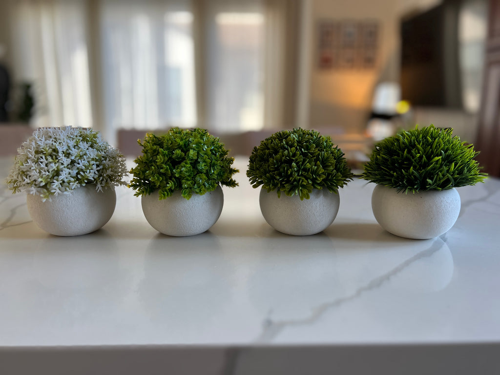 *Topiary Plants - Set of 4