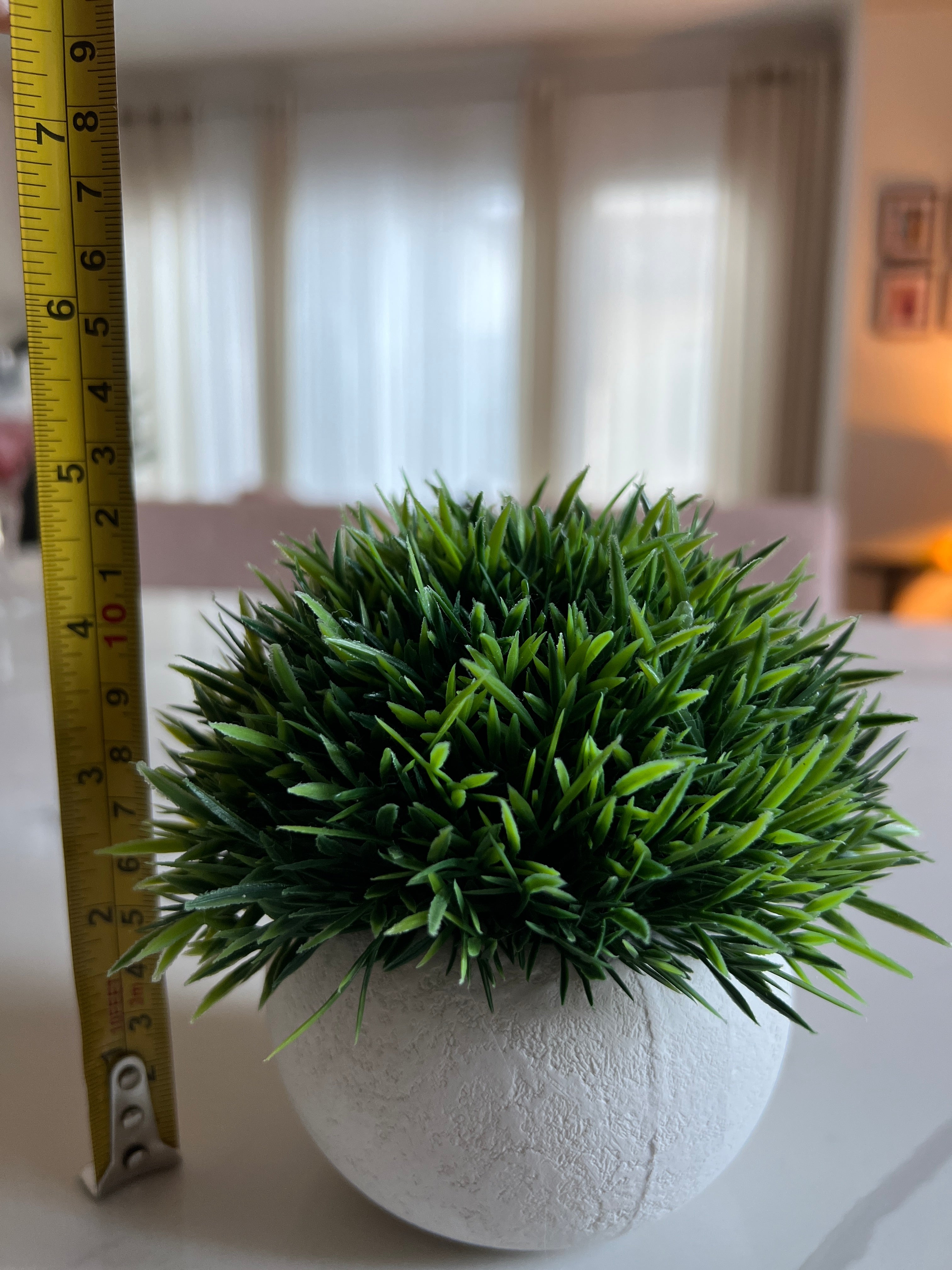 *Topiary Plants - Set of 4