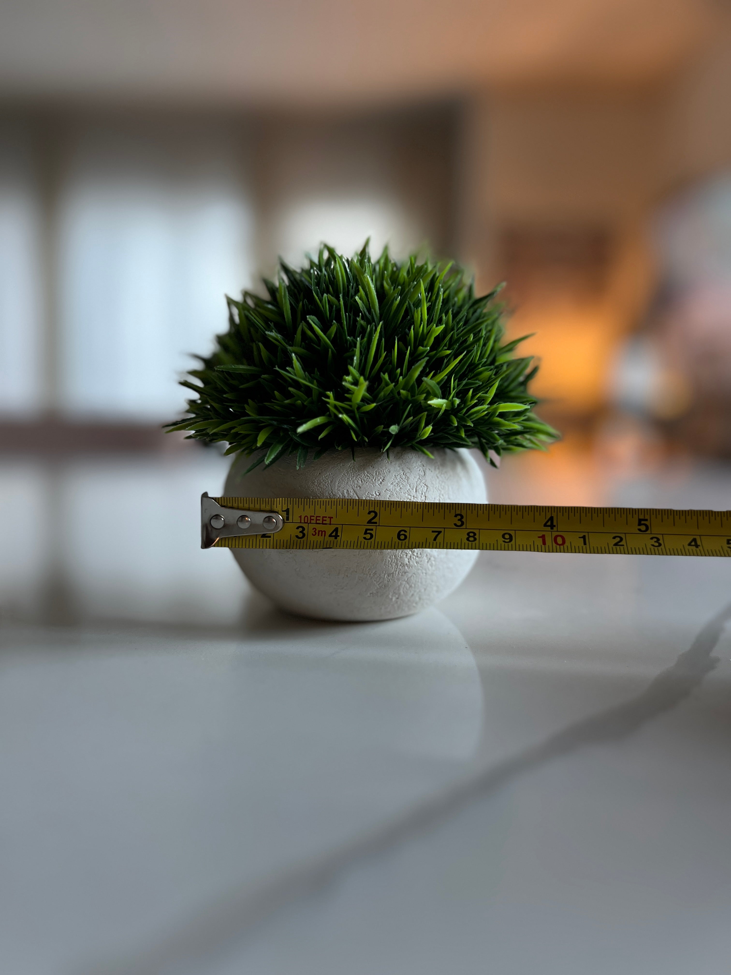 *Topiary Plants - Set of 4